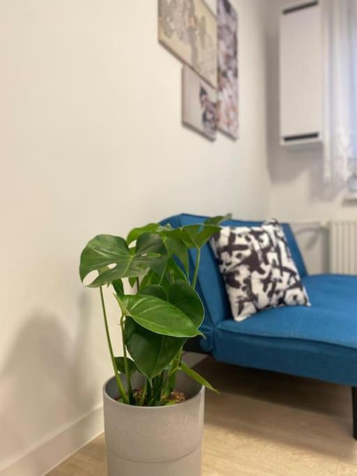 Štúrovo Apartman Kristina מראה חיצוני תמונה